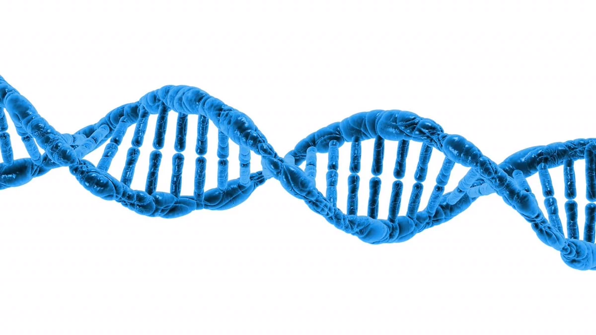 Representação estilizada de ADN com efeito de onda, ligando biologia molecular e vibração.